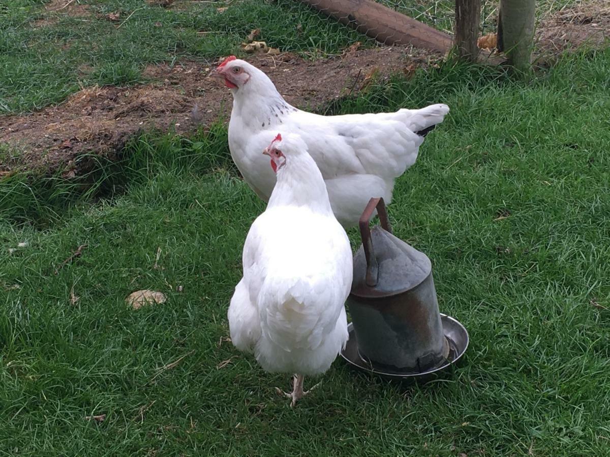 Brookover Farm Villa Frome Bagian luar foto